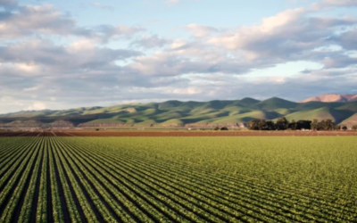 Cámara de Comercio de Bogotá, entre los aliados de Colombia Agrifood Innovation Hub