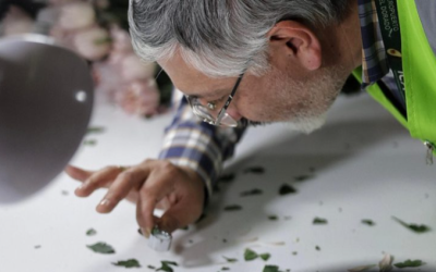 Con dignidad el campo colombiano se abre paso en los mercados internacionales