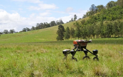 Nuevas tecnologías implementan inteligencia artificial para apoyar al sector del agro