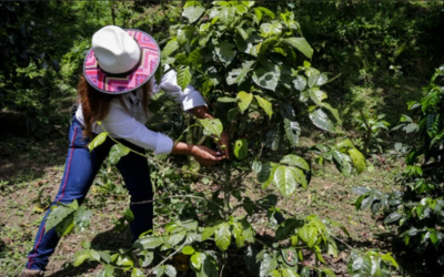 Bre-B, el impulso del Banco de La República que el sector agropecuario necesitaba