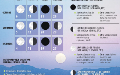 La importancia del calendario lunar en la mejora de la productividad del sector del agro
