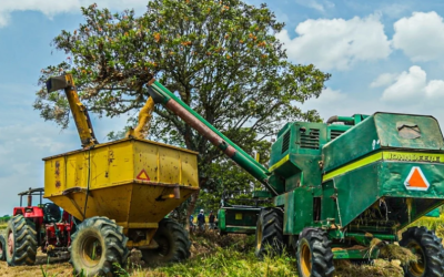 Inversión de más de $161.000 millones para desarrollo productivo de comunidades indígenas