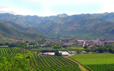 Mallas que protegen a sus cultivos de eventos climáticos extremos y algunas plagas