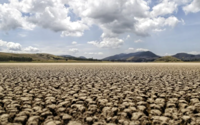 ¿Cómo va la reducción de emisiones a nivel mundial para el control del cambio climático?