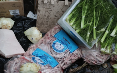 Bogotá se moviliza por la sostenibilidad alimentaria con la Semana por la Reducción de Pérdidas y Desperdicios de Alimentos