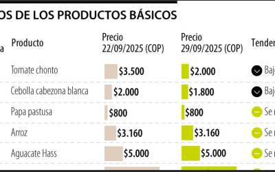 La semana comenzó con una caída de $1.500 en el precio del kilo de tomate chonto
