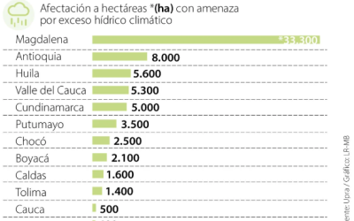La temporada de lluvias pondrían en riesgo de exceso hídrico a 67.000 hectáreas