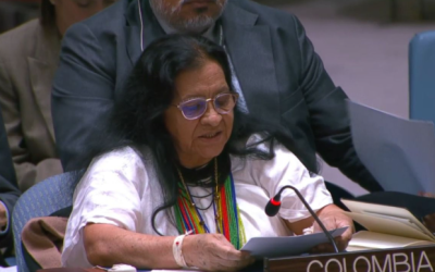 Naciones del mundo resaltan logros de la Reforma Agraria en la implementación del Acuerdo de Paz durante el Consejo de Seguridad de la ONU