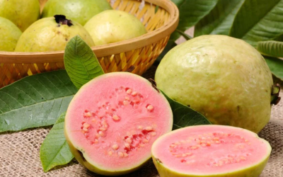 Para la semana del 6 de octubre el kilo de guayaba experimentó una caída de $1.500