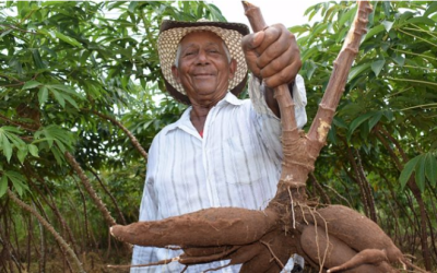 FAO convoca a “Mano de la Mano” por mejores alimentos y un mejor futuro