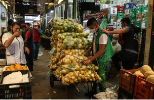 Octubre cierra con una caída de $200 en el precio del kilo de cebolla cabezona blanca