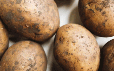 Optimización del saneamiento del agua de lavado de patatas: Nuevos datos sobre PAA frente a dióxido de cloro para el control microbiano