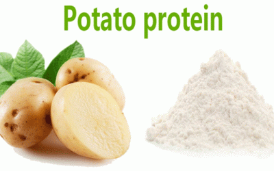 Más allá del almidón: El auge de la proteína de la patata como una oportunidad de cultivo funcional de alto valor