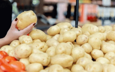 La Revolución Dorada: Cómo las patatas de pulpa amarilla están transformando el mercado norteamericano
