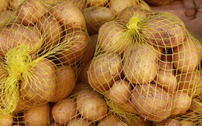 El punto ciego de la poscosecha: cómo las decisiones de envasado en la finca influyen directamente en la experiencia del consumidor y el desperdicio de alimentos