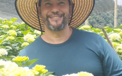 «La hortensia es la flor más cultivada en el oriente antioqueño, con cerca de 1.700 hectáreas»