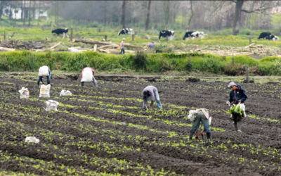Mercosur impulsa inversión de US$24 billones para transformar el agro colombiano