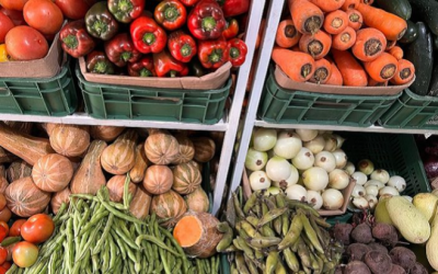 SISABE a Cundinamarca: una radiografía del campo y la alimentación del departamento