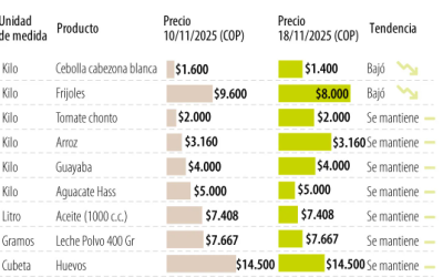 La semana comienza con incrementos en los precios del fríjol y la cebolla cabezona