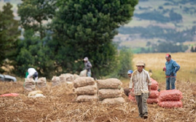 El campo exige un cambio real: no más ideología, más producción