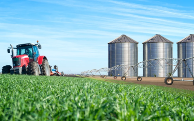 El sector del agro representó 9,8% del Producto Interno Bruto del tercer trimestre