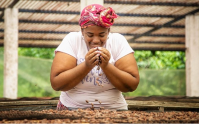 Colombia ingresa al Mecanismo para Bosques y Fincas